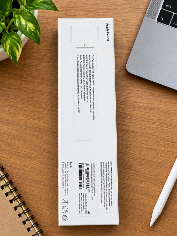 قلم هوشمند Apple Pencil 2nd Generation