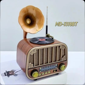 رادیو اسپیکر meier md1318bt